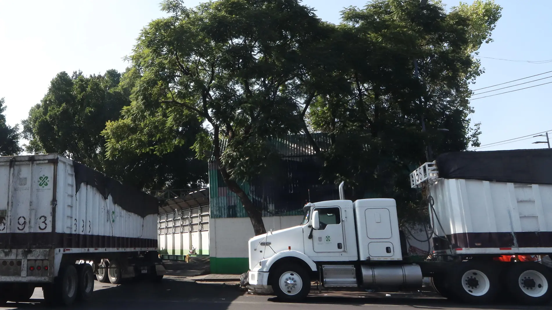 Edomex se ha convertido en un tiradero a cielo abierto; proponen ley de economía circular